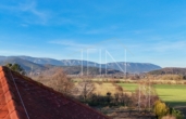 Bild - Rarität – moderne Villa – 2.711 m² großer Grund, Weinkeller, Sauna uvm.