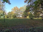 Nachbargarten Palais - Single‑, Pärchen- oder Anlage-Wohnung + Ruhe, Grünblick und Gartennutzung neben Palais Schönburg!