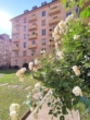 Garten rund um die Wohnung - Single‑, Pärchen- oder Anlage-Wohnung + Ruhe, Grünblick und Gartennutzung neben Palais Schönburg!