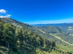 Ötscher Wanderung Ausblick - PRIVATE Lodges – TOP 1 – “Kamin Lodge”